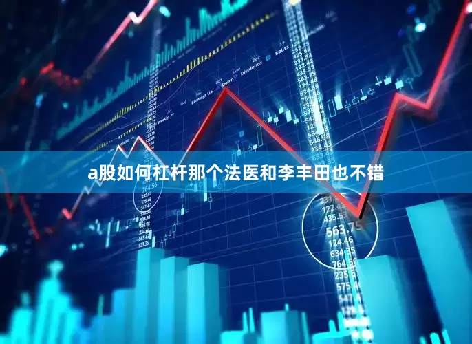a股如何杠杆那个法医和李丰田也不错