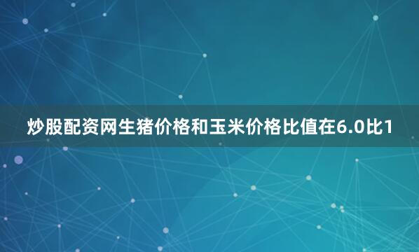 炒股配资网生猪价格和玉米价格比值在6.0比1