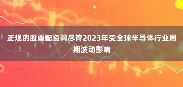 正规的股票配资网尽管2023年受全球半导体行业周期波动影响
