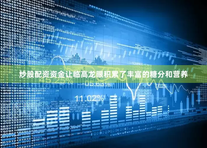 炒股配资资金让临高龙眼积累了丰富的糖分和营养