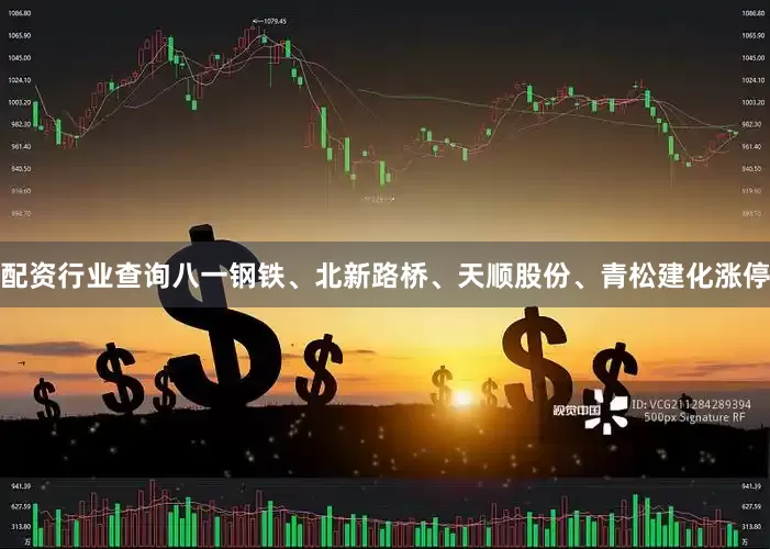 配资行业查询八一钢铁、北新路桥、天顺股份、青松建化涨停