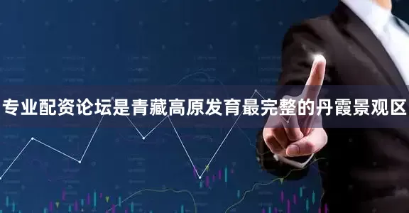 专业配资论坛是青藏高原发育最完整的丹霞景观区